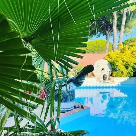 Hebergement Insolite Studio Grau Du Roi Mas Des Marines Piscine لو غراو دو روا المظهر الخارجي الصورة