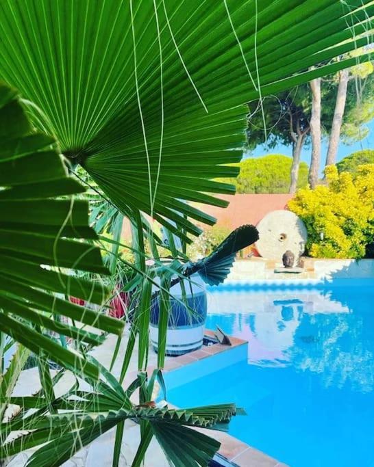 Hebergement Insolite Studio Grau Du Roi Mas Des Marines Piscine لو غراو دو روا المظهر الخارجي الصورة