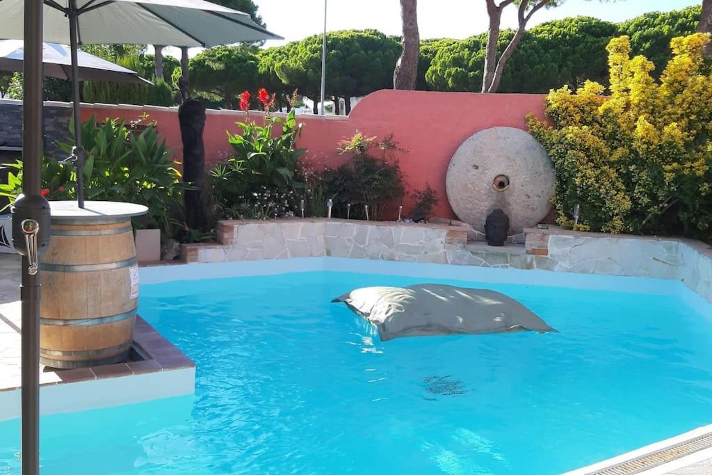 Hebergement Insolite Studio Grau Du Roi Mas Des Marines Piscine لو غراو دو روا المظهر الخارجي الصورة